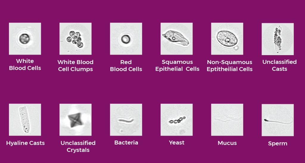 Cytomed | Healthcare Solution